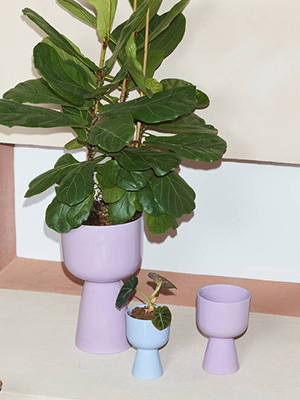 Home Decor