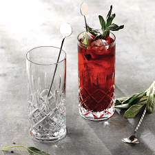 R&D Collection Highclere Highball Set of 2