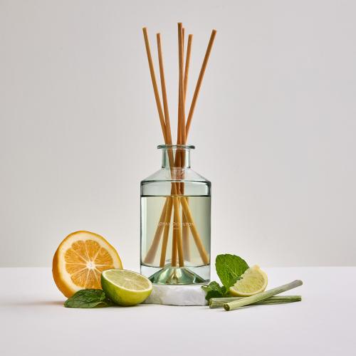 Royal Doulton 1815 Reed Diffuser - Lemongrass & Lime